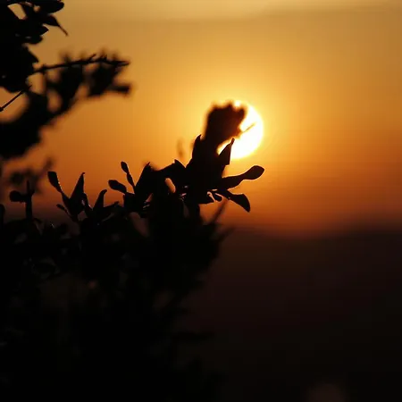 Nar Bed & Breakfast Assos